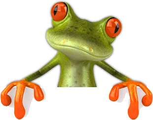 Affordable SEO Services in Australia